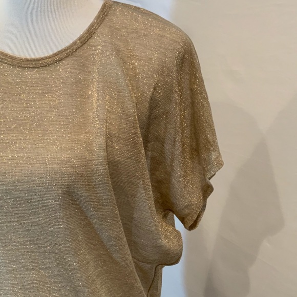 Joe’s Sheer Shimmering Gold Short Sleeve Top Small - Picture 4 of 7
